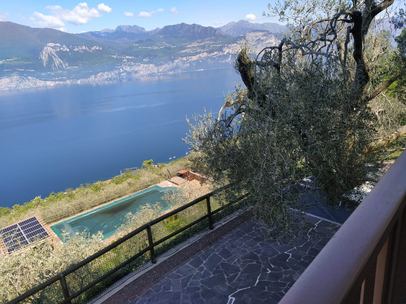 Il lago visto dalla parte alta della tenuta, con gli ulivi in primo piano e la piscina più sotto.