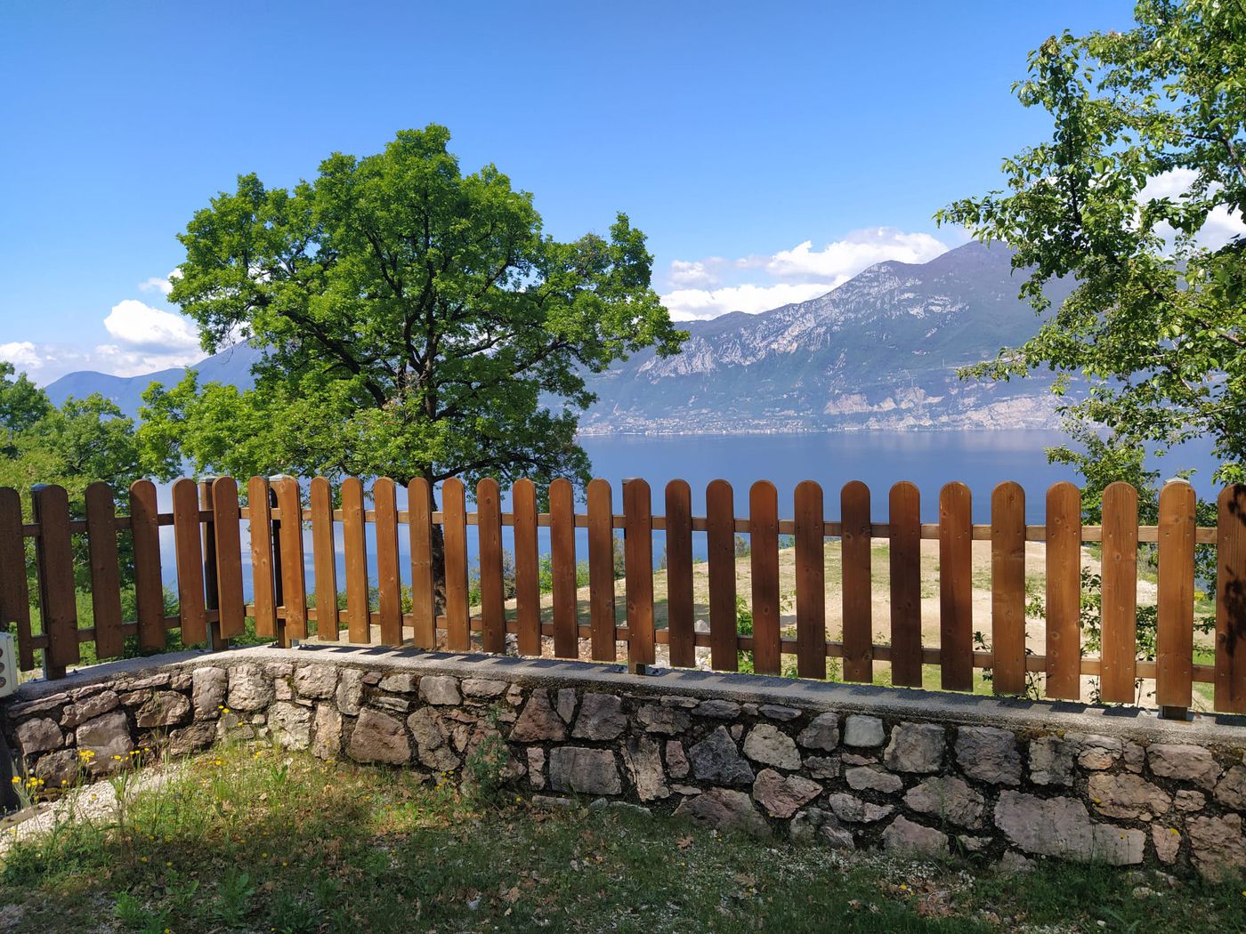 Ulivi dietro una staccionata in legno su un muro a secco, con il lago e la sponda opposta sullo sfondo.